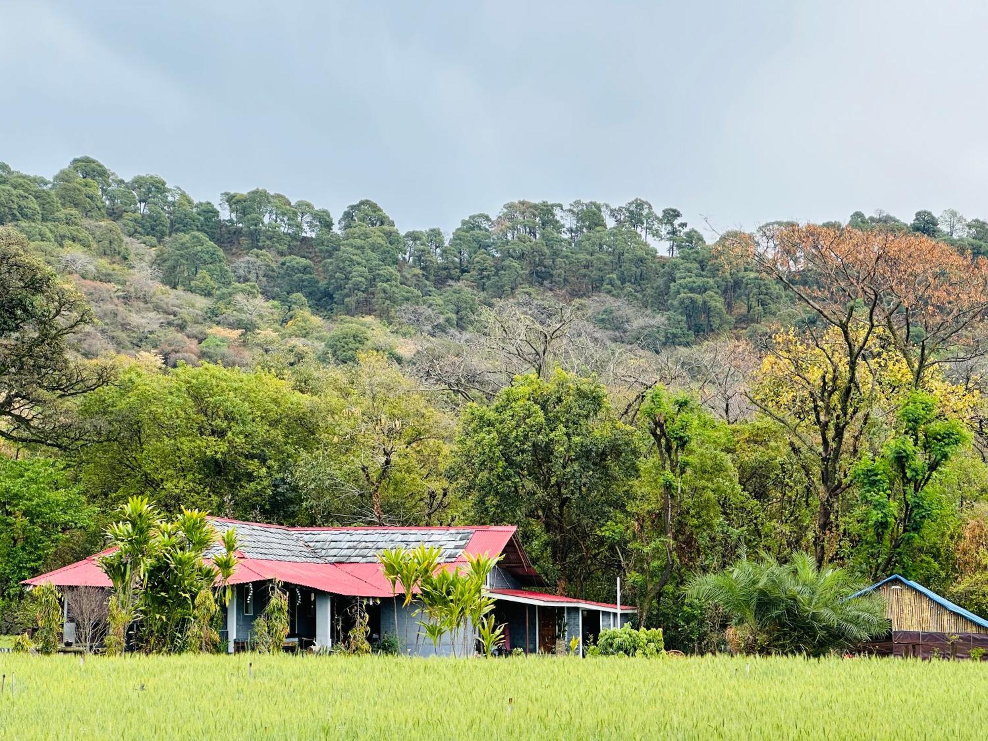Dreamwoods A Travellers Farm Hostel Dharamshala Exterior photo